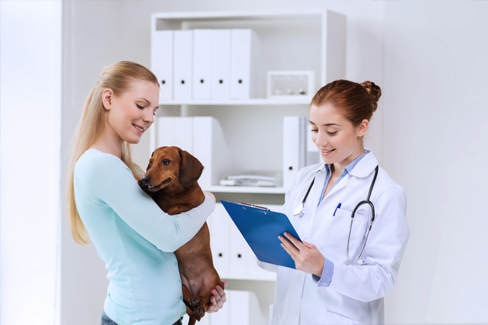 ЭЦП для оформления ветеринарных сертификатов (ГИС Меркурий) в Уссурийске